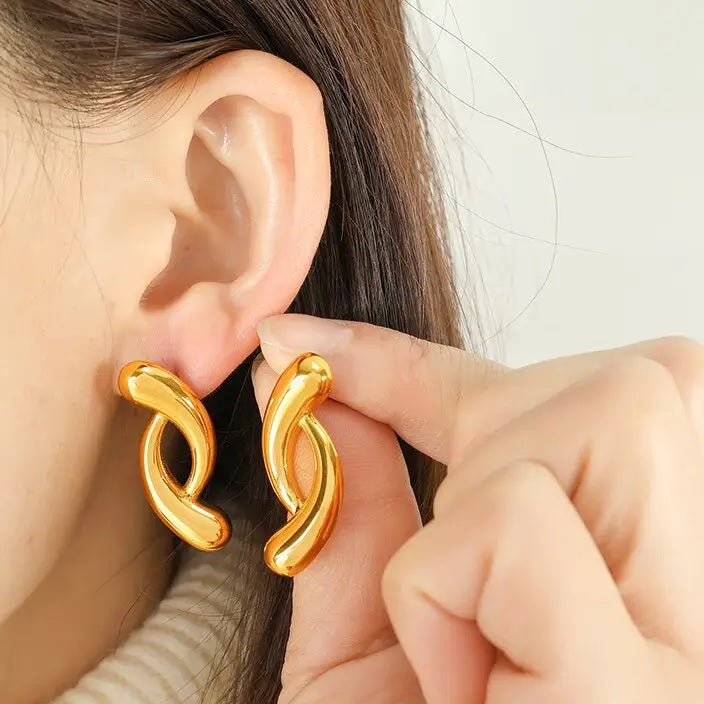 Stainless Steel Earring - E0317