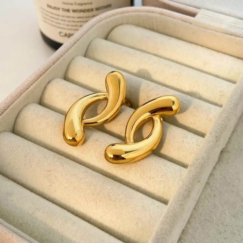 Stainless Steel Earring - E0317