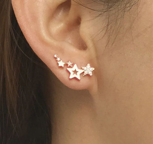 Korean Earring - E0215