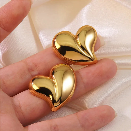 Stainless Steel Earring - E0312