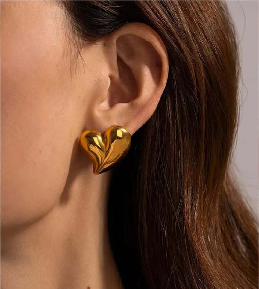 Stainless Steel Earring - E0312
