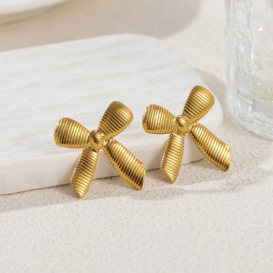 Stainless Steel Earring - E0314