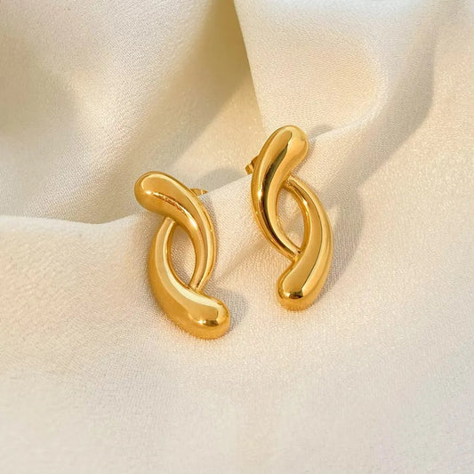 Stainless Steel Earring - E0317