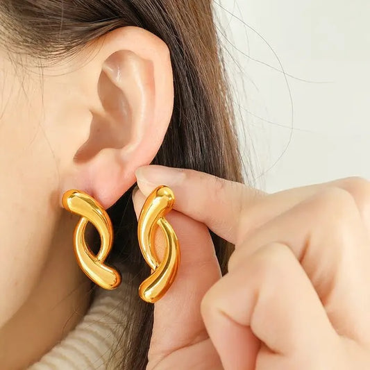 Stainless Steel Earring - E0317