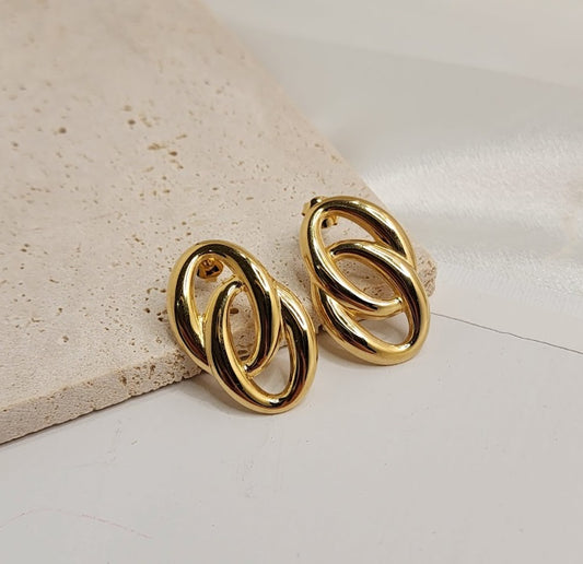 Stainless Steel Earring - E0319